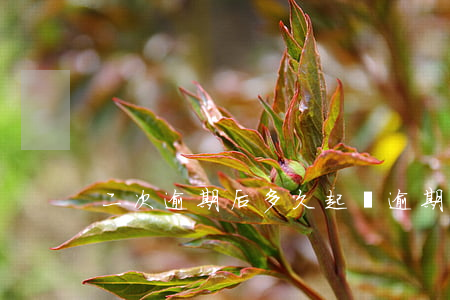二次逾期后多久起訴(逾期兩個月會起訴嗎)