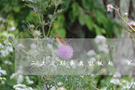 二次逾期多久能被起訴(第二次逾期有寬限期嗎)