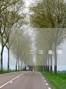 二次逾期起訴怎么辦(逾期了兩次怎么辦)