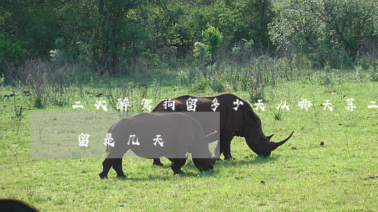 二次醉驾拘留多少天从哪天算(二次酒驾被拘留是几天)