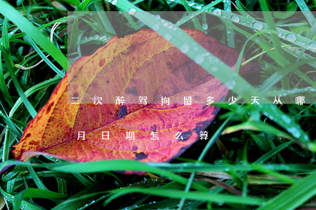 二次醉驾拘留多少天从哪天算(醉驾拘留三个月日期怎么算?)