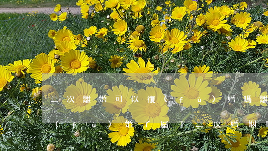 二次離婚可以復(fù)婚嗎(離婚以后又復(fù)婚了屬于二次婚姻嗎)