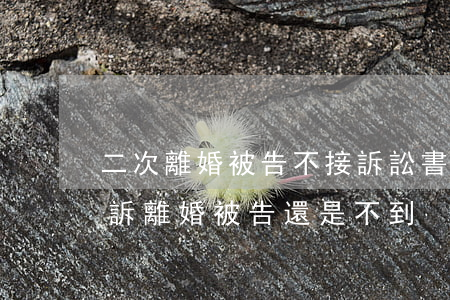 二次離婚被告不接訴訟書(shū)(二次起訴離婚被告還是不到)