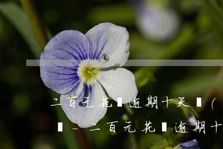 二百元花唄逾期十天會(huì)電話催款嗎-二百元花唄逾期十天會(huì)電話催款嗎是真的嗎