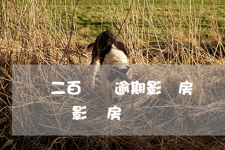 二百塊錢逾期影響房貸嗎(信用卡逾期20塊錢影響房貸嗎)