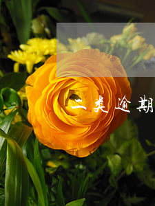 二类逾期什么意思-逾期二期什么意思