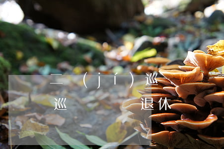 二級(jí)巡視員幾歲退休(二級(jí)巡視員幾歲退休)