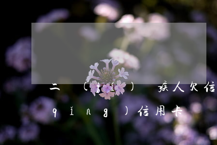 二級(jí)殘疾人欠信用卡(殘疾人申請(qǐng)信用卡)