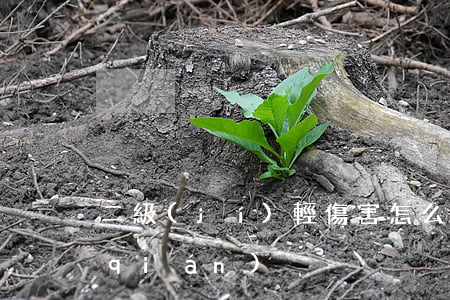 二級(jí)輕傷害怎么判刑賠償多少錢(qián)