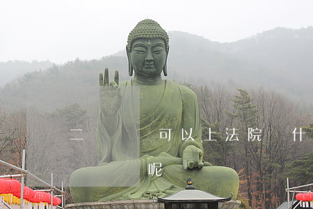 二級傷殘可以上法院嗎(什么情況才能夠到二級傷殘呢)