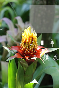 二級市場并購基金是什么并購基金有哪些盈利模式（并購基金有哪些盈利模式）