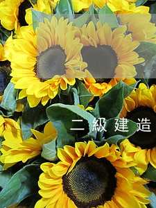 二級建造師 掛靠