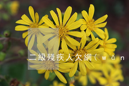 二級殘疾人欠網(wǎng)貸怎么辦