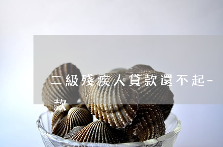二級殘疾人貸款還不起-殘疾人無力償還貸款