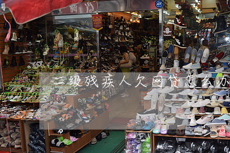二级残疾人欠网贷怎么办