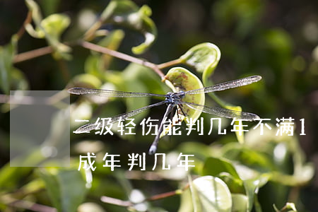 二级轻伤能判几年不满16周岁(重伤二级未成年判几年)