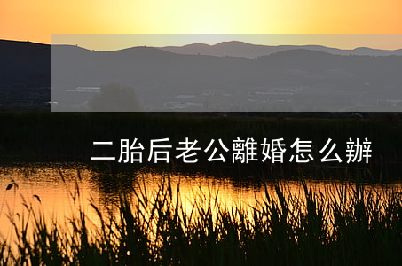 二胎后老公離婚怎么辦