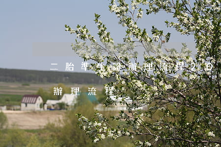 二胎準生證辦理流程,2022年二胎準生證辦理流程 二胎準生證辦理流程,2022年二胎準生證辦理流程
