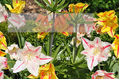 二萬(wàn)信用卡逾期一年多(二萬(wàn)信用卡逾期一年多利息多少)