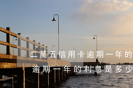 二萬五信用卡逾期一年的利息(二萬五信用卡逾期一年的利息是多少)