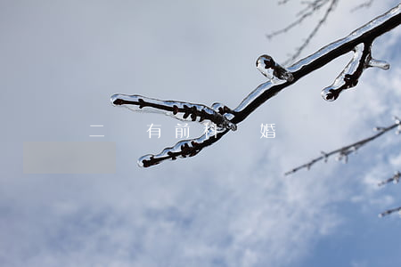 二貨有前科離婚
