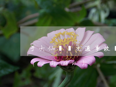 于大仙車禍交通事故賠償標(biāo)準(zhǔn)