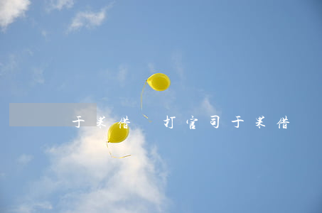 于果借錢打官司 于果借錢打官司