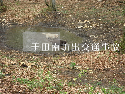 于田南坊出交通事故