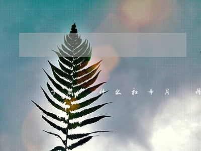 于震為什么和辛月離婚