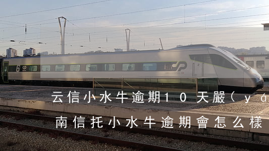 云信小水牛逾期10天嚴(yán)重嗎(云南信托小水牛逾期會怎么樣)