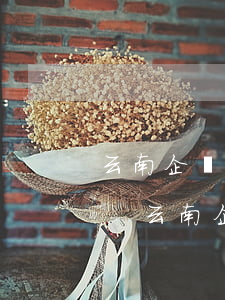 云南企業(yè)停息掛賬主要方式有哪些-云南企業(yè)停息掛賬主要方式有哪些呢