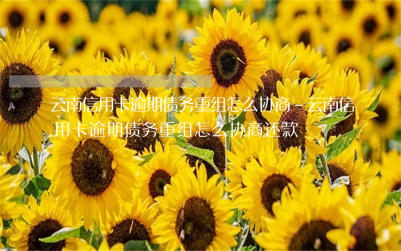 云南信用卡逾期债务重组怎么协商-云南信用卡逾期债务重组怎么协商还款