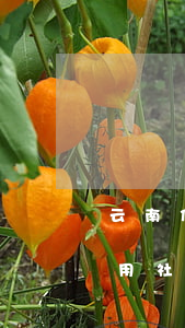 云南信用卡逾期停息分期怎么协商-云南信用社信用卡逾期可以协商分期吗