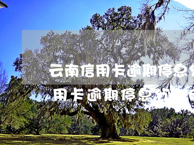 云南信用卡逾期停息分期申请条件-云南信用卡逾期停息分期申请条件是什么