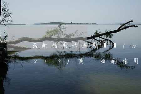 云南信用卡逾期債務(wù)重組怎么協(xié)商-云南信用卡逾期債務(wù)重組怎么協(xié)商還款