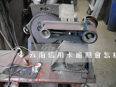 云南信用卡逾期會怎樣(云南信用卡逾期會怎樣)