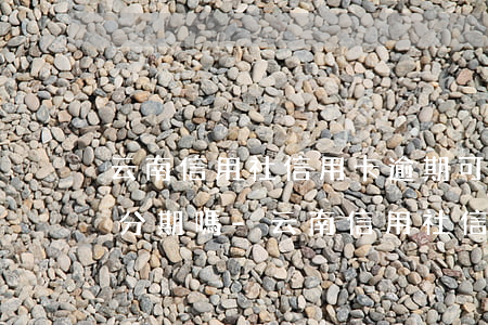 云南信用社信用卡逾期可以協(xié)商分期嗎-云南信用社信用卡逾期可以協(xié)商分期嗎