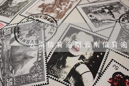 云南信貸逾期(云南信貸逾期)