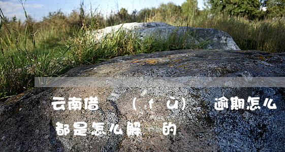 云南借唄負(fù)債逾期怎么辦(借唄逾期都是怎么解決的)