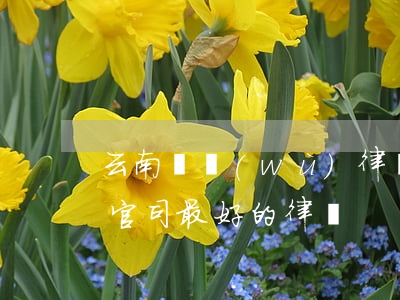 云南債務(wù)律師費 云南債務(wù)官司最好的律師
