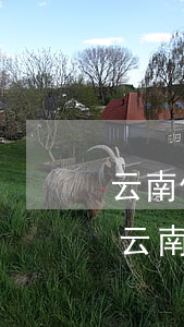 云南債務(wù)糾紛律師收費(fèi)(云南債務(wù)糾紛律師收費(fèi)標(biāo)準(zhǔn)最新)