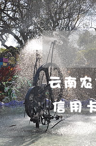 云南农信信用卡按日贷怎么还款-云南农信信用卡按日贷怎么还款啊