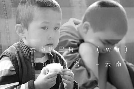 云南哪里有債務(wù)糾紛律師網(wǎng)上咨詢-云南債務(wù)官司最好的律師