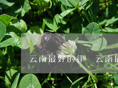 云南最好的律師(云南最好的律師在哪里)