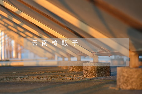 云南槍販子