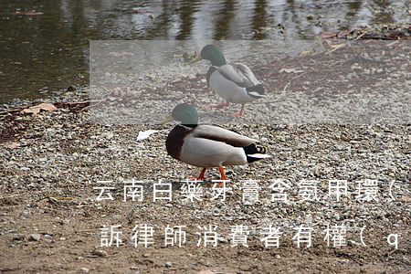 云南白藥牙膏含氨甲環(huán)酸被起訴！律師：消費者有權(quán)了解真相