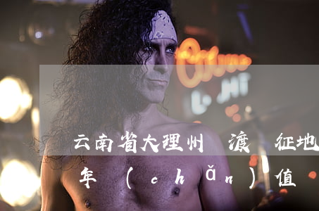 云南省大理州彌渡縣征地統(tǒng)一年產(chǎn)值補償標準