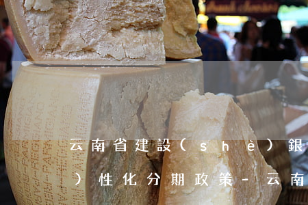 云南省建設(shè)銀行信用卡個(gè)性化分期政策-云南省建設(shè)銀行信用卡個(gè)性化分期政策文件