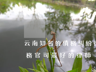 云南知名的債務糾紛律師收費標準-云南債務官司最好的律師
