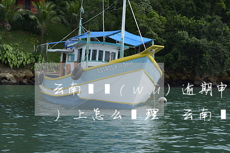 云南稅務(wù)逾期申報在網(wǎng)上怎么處理-云南稅務(wù)申報系統(tǒng)